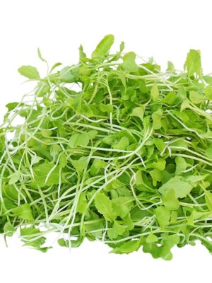 Fenugreek Microgreens
